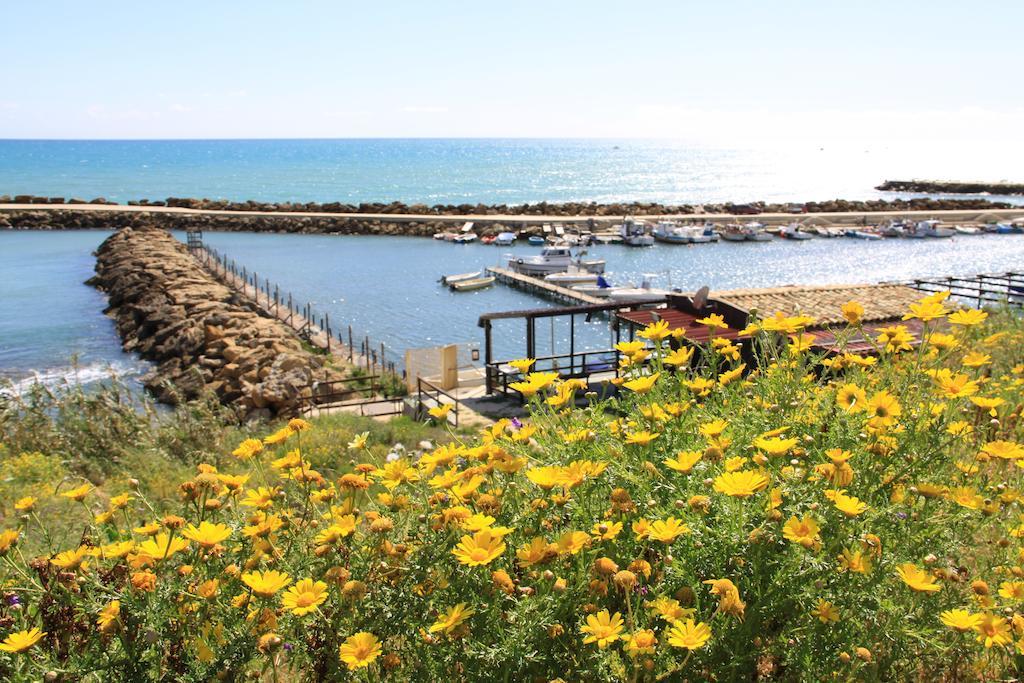 مارينيلا دي سيلينونتي Il Pescatore المظهر الخارجي الصورة